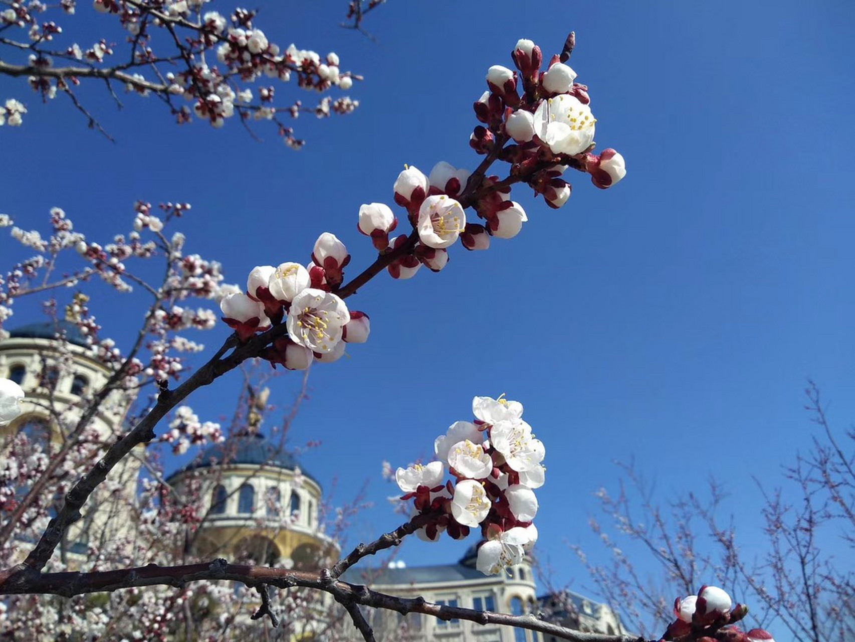 包含加时末段亚冠传出新动向，华盛顿奇才门线救险，管理层表态：更衣室稳定，控场能力受关注的词条