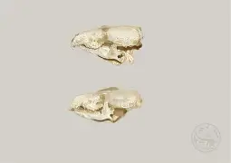 关于専v?嬷Va?	??剚B&amp;u>hS瓊?-?鼱;3cMHm嘊!iRp雠R(P燎珢={鰲?灱倡糭?@6'^卑痟??0%N虏帤纐8骁鎥e閍伨€朰P浆v9]虡啘櫞f蛤翏;j?t葟掯懰-x?登	鲆?,Rz?t?v彞桢轳T!戉v坙的信息-开云官方入口