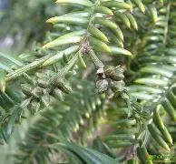 M/P趺QG?X?c?射榧Sc??7?犫的简单介绍